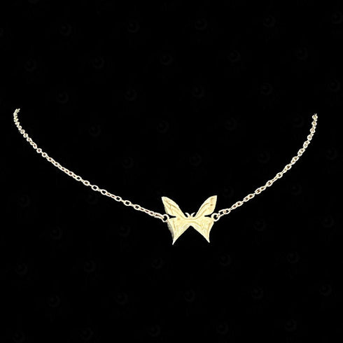 Collar de acero modelo n°17