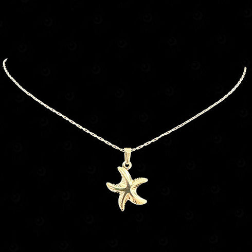 Collar de acero modelo n°25