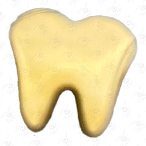 Dije de acero de diente 10 unidades por pieza modelo n°2