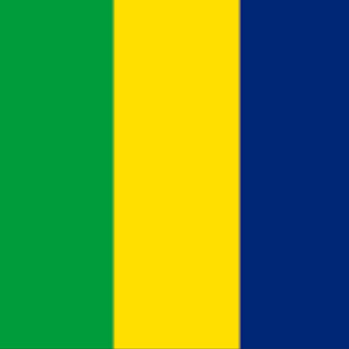 World Team Edition Fabric FLAT Wristbands (Pack of one dozen)